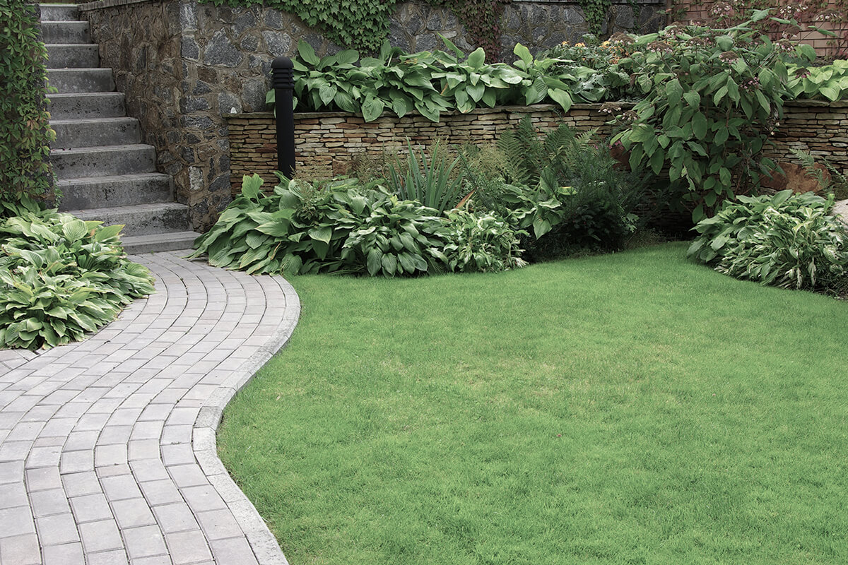 Welcome to SJ Landscaping